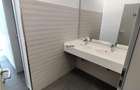 Spatii Birouri - 1500 mp - Piata Cibin - 18