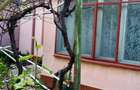 Casă cărămidă stare bună, utilități, garaj, beci, teren 540 mp, zonă fără trafic - 17
