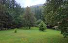 Vila  superba Sinaia, suprafata 627mp cu gradina parc4000 mp