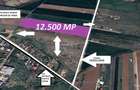 Teren Intravilan Periș – 12.500 mp - Direct Proprietar - Oportunitate Investiție - 1