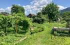 Vanzare casa Turches - 3