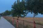Teren 5000mp in Costinesti PRIMUL RAND la MARE cu Autorizatie Constructii Resort - 9