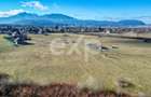Teren 3.120 mp cu potențial de dezvoltare – Săcele | Posibilitate PUZ - 19