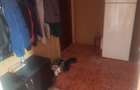 Apartament 2 camere confort 1, zona Astra-Saturn - 7