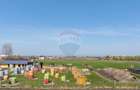 Teren intravilan 13.300 mp – Brașov | 0% COMISION - 8