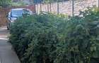 Proprietar vând casă în duplex ,relativ noua , liberă imediat . - 11