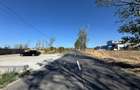 Teren extravilan de vânzare – Căteasca, Argeș | 27.201 mp | Deschidere 58,55 m - 8
