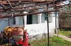 Casă cu hală industrială Drăguțești - 4