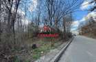 Teren intravilan in Campina--1565 mp--35.000e - 4