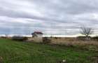 Teren intravilan 3.800 mp, zonă liniștită, Malu Mare - 3