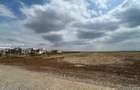 Teren 2500 MP | Balotesti | Intravilan | Integral sau Loturi Individuale | - 2