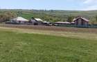Teren extravilan 7.200 mp Bordea - Grajduri/ Oportunitate Investiție  - 6