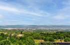 0 % comision, casa cocheta situata in Feleacu avand 503 mp teren - 3