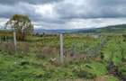 Comision 0%. Teren extravilan de vanzare in Iris, str. Pomet - 1