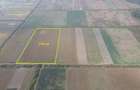 Teren 2,1 hectare în apropierea Pădurii Bistra - 4