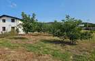 Buzau, Pietroasele - casa 4 camere, 2 bai, 150 mp utili. - 15