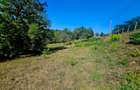 Teren intravilan 2322 mp, Păcuri – vedere superbă spre pădure! - 11