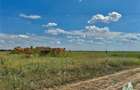 Teren 64 de parcele de vanzare /  Teren de investitie / Frumusani / Calarasi - 2