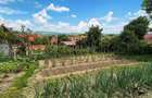 Casa extraordinara cu 2300mp teren in Bod, Brasov - 27