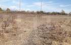 Teren 7240mp, zona Prelungirea Panduri - 3