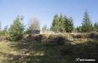 Eco Retreat Land in Apuseni Romania - Poiana Horea - 11