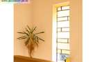 Vila interbelică D+P+E+M, 430 mp(9 camere, 6 bai,3 bucatarii) central - 10
