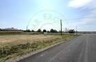 Teren intravilan 1450 mp 397 DN1F - Loc. Ghenci - Jud. Satu Mare - 4