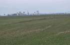 Teren extravilan 7.900 mp de vanzare zona Parapet Targoviște - 4