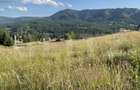 Teren de vânzare – 1251 mp în Colibița, cu panoramă superbă spre munți și lac - 4