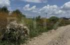 Teren intravilan, 528 mp, zona Ulmi - 1
