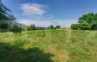 Casa + teren intravil, 3.6 ha I Zagon I Potential turistic si investitional - 9