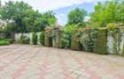 Proprietate Comercială Exclusivistă Șos. Alexandriei + 1.160 MP Teren - 29