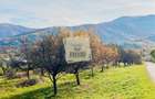 Teren intravilan 1000mp | Sibiel | Panorama superba | Ideal casa | pensiune - 3