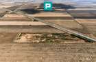 Teren agricol 63.593 mp , Pecica - 5
