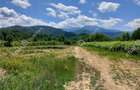 Teren intravilan 3900 mp Porumbacu de Sus, Sibiu - 12