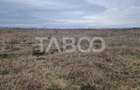 Teren intravilan 1500 mp zona Campsor cartierul Strand - 5