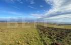 Teren cu potential de constructie, 1000 mp, Sancraiu de Mures - 2