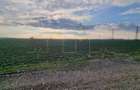 Zona industriala Freidorf. 4.345 mp. Timisoara. - 1