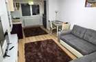 2 camere cu centrala si parcare subterana Palladium Residence - 4