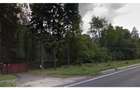 Teren Construcții intravilan de 44000 mp, în Timișu de Jos - 2