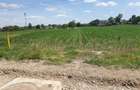Vând teren intravilan situat în Moara Vlăsiei, Strada Berzei, cu suprafața de 10 - 4