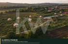 Teren intravilan 7.979 mp | ideal glamping, pensiune sau investiție | Mureș - 6