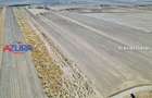 Teren agricol, 5HA, comasat, drum acces, Cateasca - 9