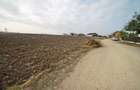 Teren intravilan - 17000 mp - zona Lazu - 5