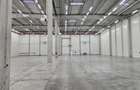Spatii Industriale - 9500 mp - Logistica - Productie - Depozitare - Distributie - 16