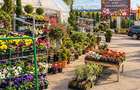 Spatiu comercial versatil 2.350 mp,Calea Feldioarei, Sera 1.624 mp, acces facil - 4