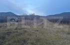 Casa de vanzare, cu 5 camere, 460 mp+teren 5800 mp, 10 km de Bistrita