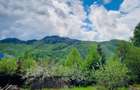Teren intravilan de vânzare 800mp Darste Brașov  - 7