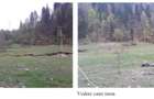 De vanzare teren intravilan 4.500 mp, Timisul de Jos, langa DN1 si PETROM - 1