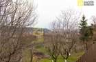 Casa, anexe, 3762 mp teren, 25000 mp padure, Comanesti, jud. Bacau - 17
